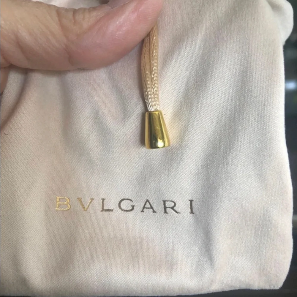 BVLGARI sleek shield